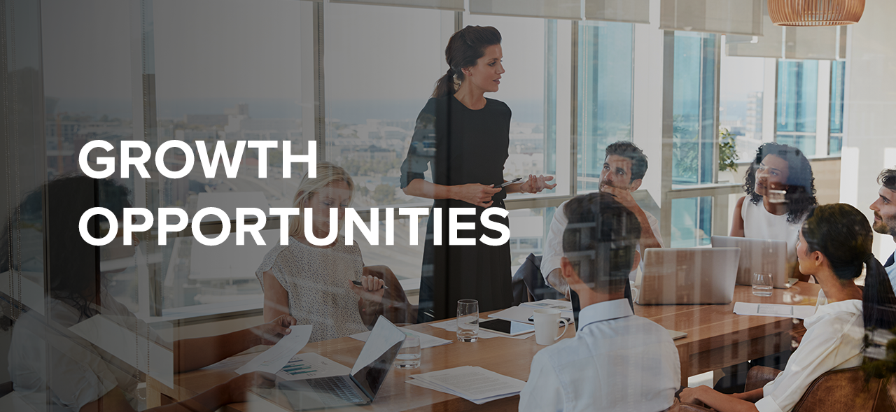 Growth Opportunity